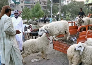 Sindh cuts Eid ul Adha holidays to three days, declares May 29 work from home