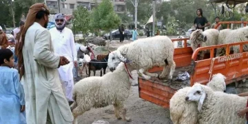 Sindh cuts Eid ul Adha holidays to three days, declares May 29 work from home