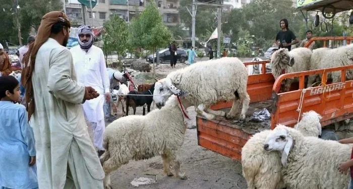 Sindh cuts Eid ul Adha holidays to three days, declares May 29 work from home