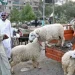 Sindh cuts Eid ul Adha holidays to three days, declares May 29 work from home