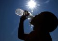 Germany reports over 5,000 heat-related deaths as climate concerns intensify