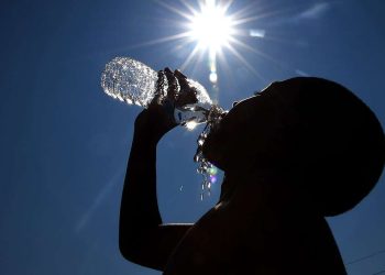 Germany reports over 5,000 heat-related deaths as climate concerns intensify
