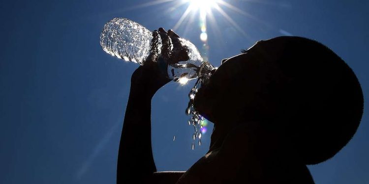 Germany reports over 5,000 heat-related deaths as climate concerns intensify